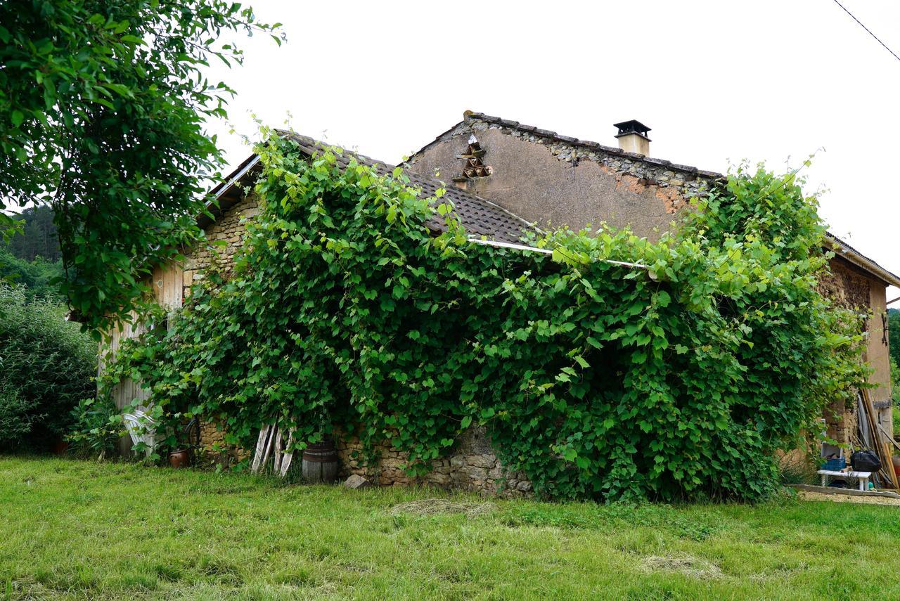 فيلا La Prairie Siorac-en-Périgord المظهر الخارجي الصورة
